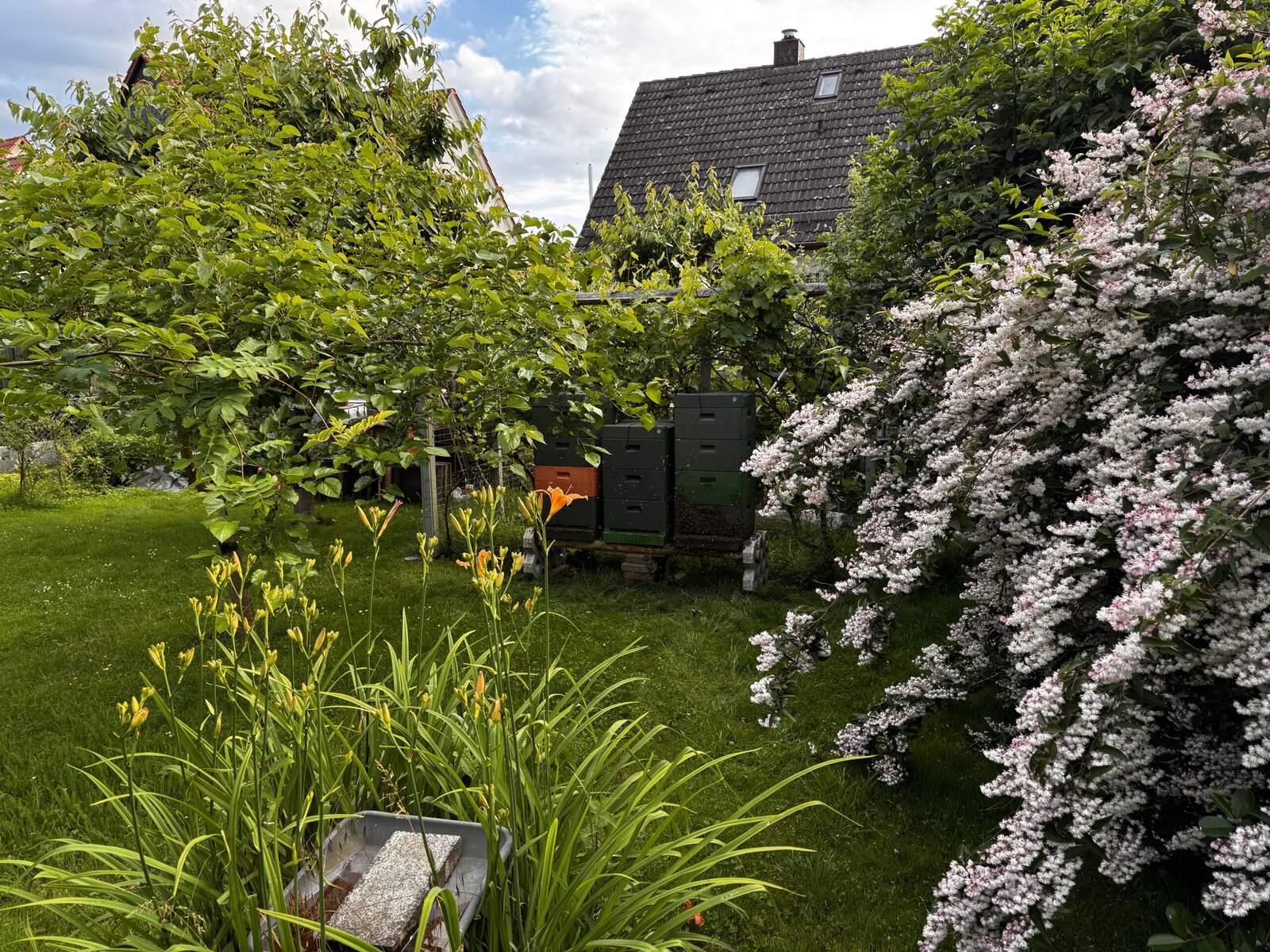 Bienenkästen in einem blühenden Garten in Kaufungen