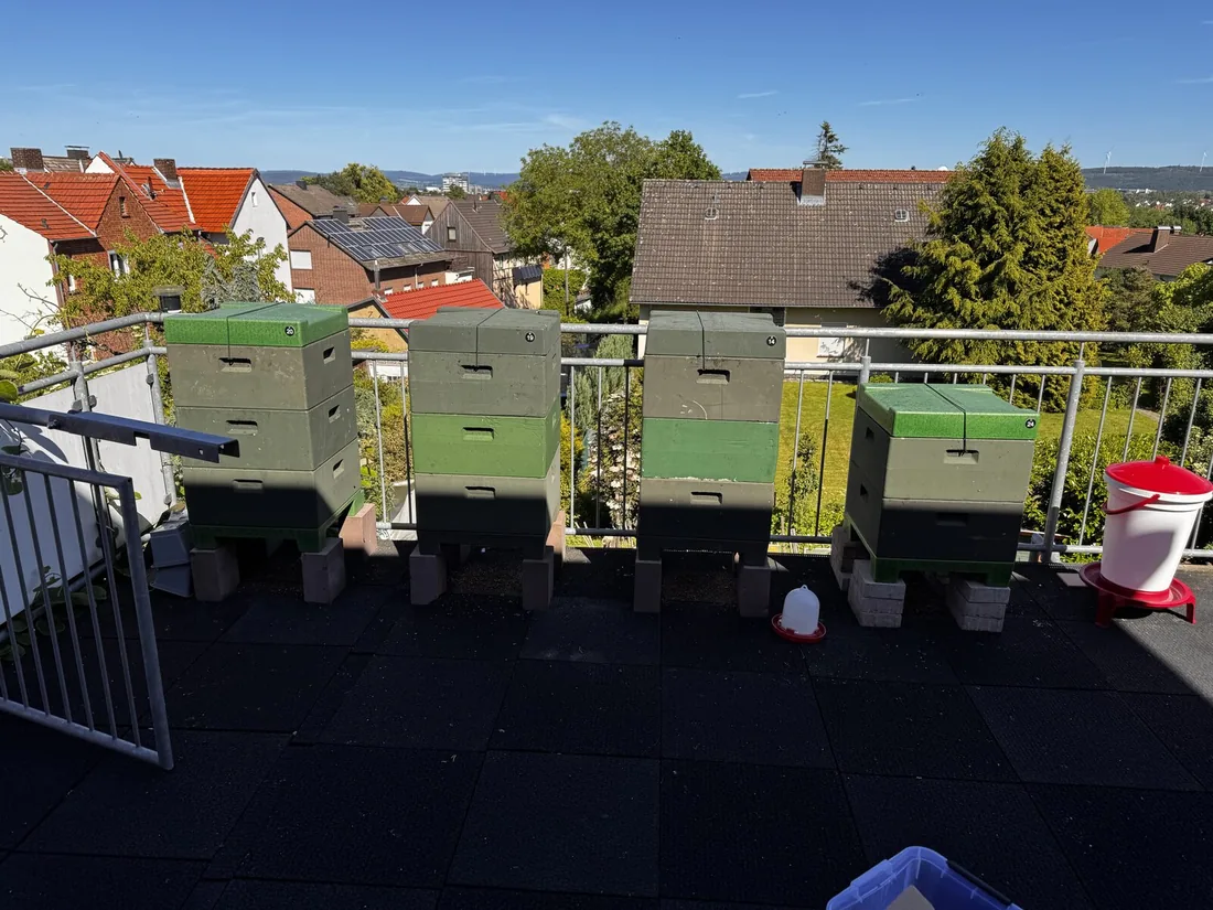 Bienenstand am Bühlchenweg auf einer Terrasse in Kassel-Nordshausen