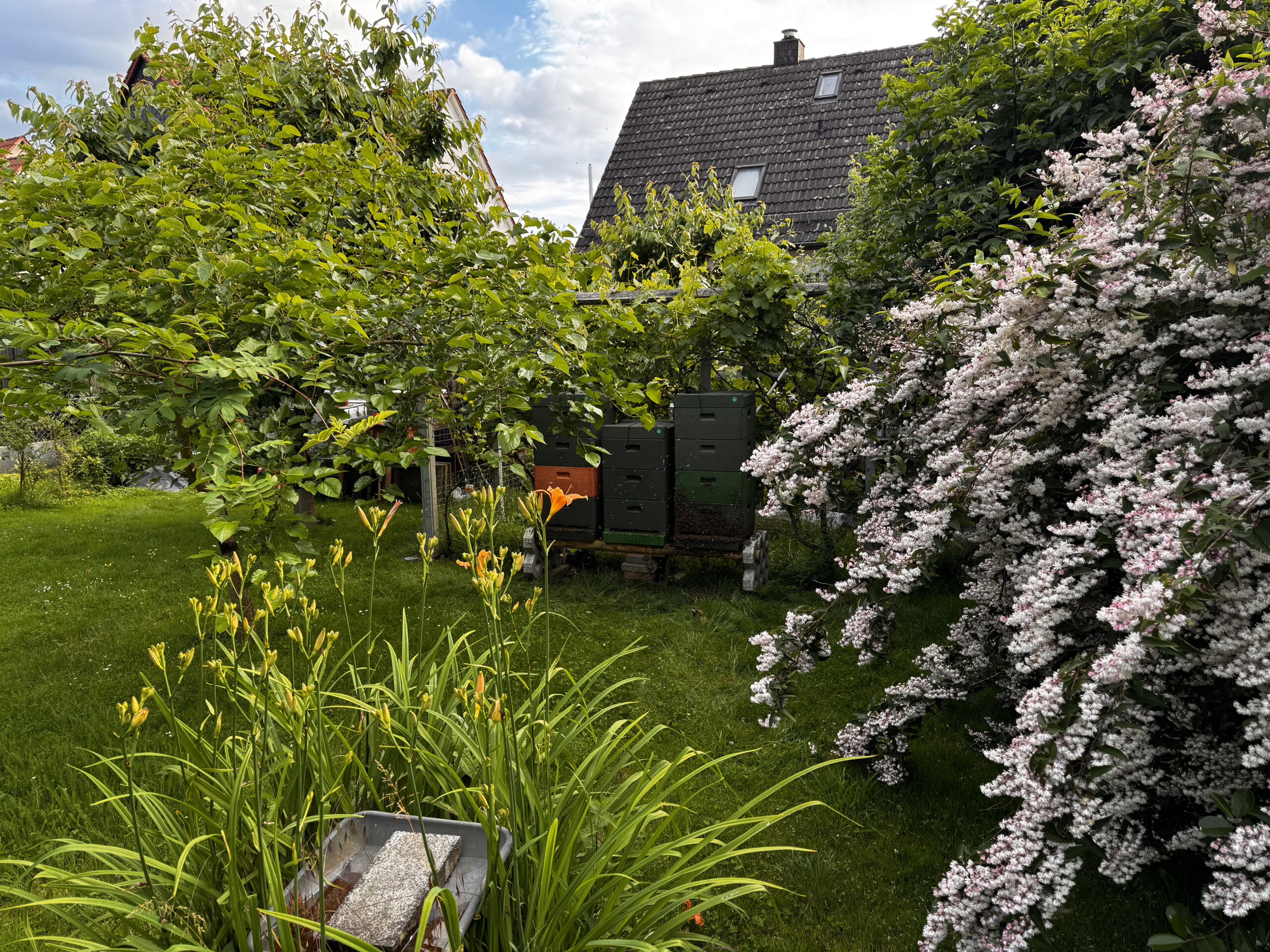 Bienenkästen in einem blühenden Garten in Kaufungen