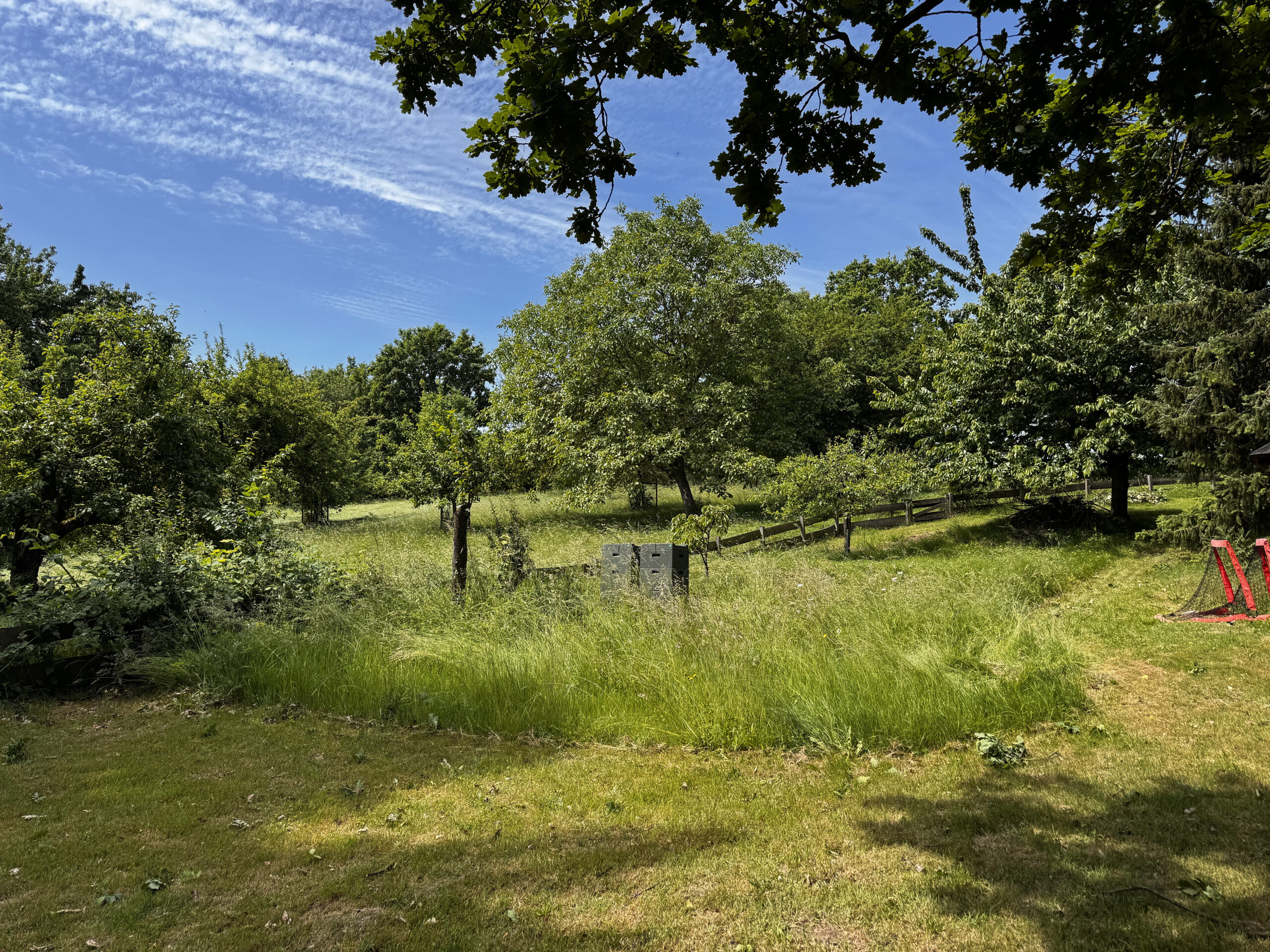 Obstwiese an einem Bienenstand in Nordshausen
